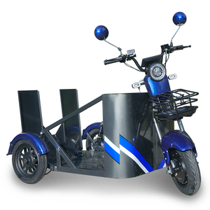 Triciclo Eléctrico de 800W con Rampa <span class=keywords><strong>para</strong></span> Sillas de Ruedas, Certificado CE <span class=keywords><strong>para</strong></span> Personas con Discapacidad - Product Image 6