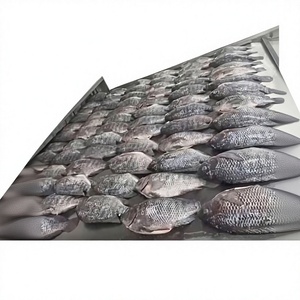 VN-VAN BACH TUNG Premium Whole Frozen Roughy 1kg High Quality Price High Nutritional Value 100% Natural OEM - Product Image 1