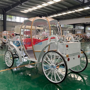 Carruaje de Caballos Eléctrico Comercial Personalizado para Bodas, Estilo Cenicienta, de Metal, Transporte Especial en Venta - Product Image 3