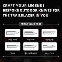 Couteau de poche tactique de camping personnalisé DIY en acier inoxydable D2, couteau pliant de survie de haute qualité avec manche G10, OEM