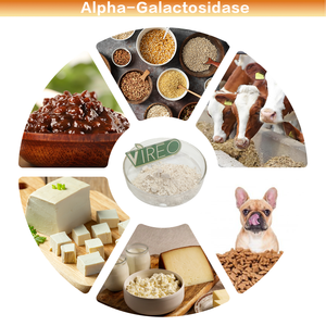 Polvo de Enzima Alfa-Galactosidasa 3000 UI/g de <span class=keywords><strong>Levadura</strong></span> de Panadería, Enzima Alimentaria Alfa-Galactosidasa - Product Image 2