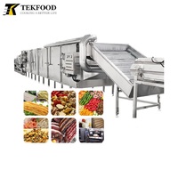 China Fabriek Tekfood Fruit Drogen Productielijn Continue Hetelucht Droger Machine Chili Hetelucht Mesh Band Droogmachine