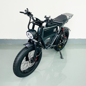 Bicicleta Eléctrica de Montaña (MTB) de 20 Pulgadas, 48V 25Ah, con Frenos de Disco, Enduro, Neumáticos Anchos, Bicicleta Eléctrica Rápida para Reparto de Comida, Venta al Por Mayor - Product Image 1