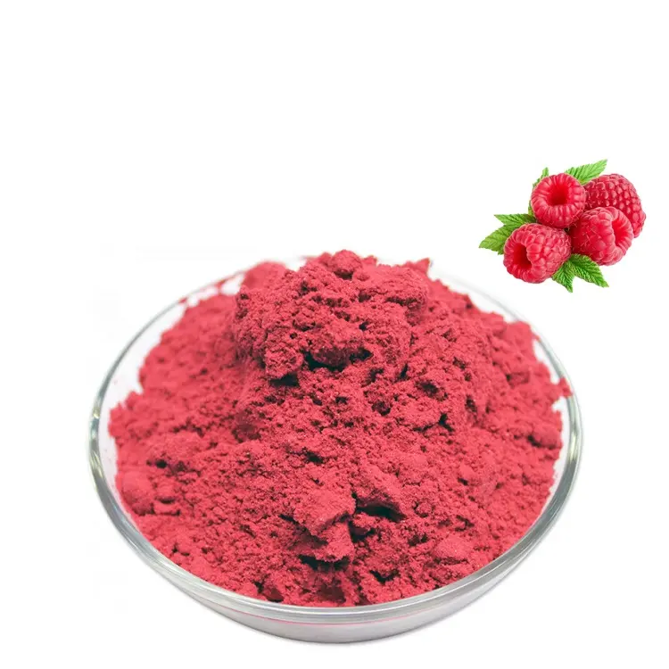 Vente en gros OEM mélange pour boisson aux fruits bio poudre de fruits lyophilisés poudre de fraise myrtille mûrier framboise