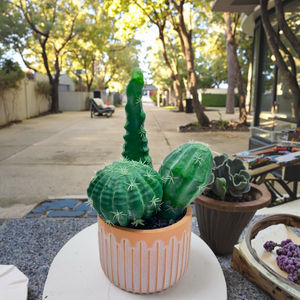 <span class=keywords><strong>Cactus</strong></span> en plastique artificiel avec pot en céramique pour la <span class=keywords><strong>d</strong></span>écoration extérieure de la maison Vente en gros en usine pour le jardin et les plantes artificielles et la verdure - Product Image 5