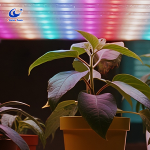 Full Spectrum LED Plant Growth Light Is Suitable <strong>for</strong> All <strong>Stages</strong> of Seedling Cultivation, Growth, Flowering, and Fruiting - Product Image 5