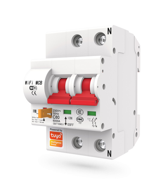 2P DIN Rail Tuya WiFi Smart Circuit Breaker AC120/230V 16A~125A Whole House Main Switch APP Remote Control PST-MCB-2P