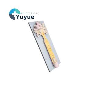 Modèle de structure du corps cellulaire du nerf et de <span class=keywords><strong>la</strong></span> fibre nerveuse - Aide pédagogique d'anatomie neurologique agrandie pour l'éducation en <span class=keywords><strong>neurosciences</strong></span> - Product Image 1