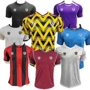 ハーランド ヴィンテージ レトロ サッカーユニフォーム 熱転写プリント サッカージャージー 100% ポリエステル 通気性 速乾性 半袖 - Product Image 2