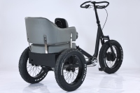 Venta de Fábrica en China: Triciclo Eléctrico para Adultos DAURADA ET-C01, Triciclo de Carga con Batería de Litio, Capacidad de Carga de 200 kg, Aleación de Aluminio