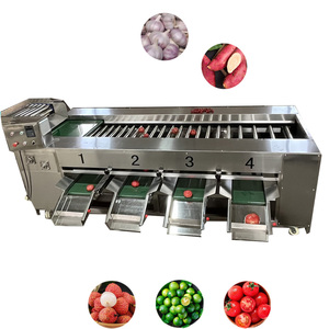 Machine automatique de tri et de calibrage des fruits, machine de lavage et de tri des pommes de terre, tomates, pommes, trieuse de fruits - Product Image 2