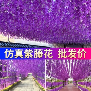 ดอกวิสทีเรียประดิษฐ์สีม่วงแบบเอนทาลปี ตกแต่งด้วยผ้าไหมสำหรับแขวนประดับเพดานงานแต่งงาน - Product Image 3