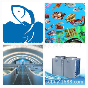 Pompe à chaleur air-eau Yijaren 380V, en métal, à économie d'énergie pour le chauffage en aquaculture - Product Image 5