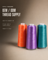 Laine à broder acrylique 24S 2 plis, couleur unie, 875 couleurs, 3000 yards, broderie machine, vente en gros, OEM