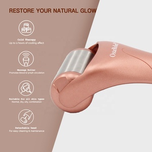 Outil de rouleau de glace de refroidissement par gel en acier inoxydable anti-poches efficace pour le lifting du visage masseur corporel soins de la peau des cernes - Product Image 4