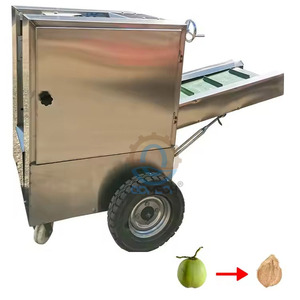 Máquina desgranadora de coco de suministro de fábrica de China Máquina peladora de coco completamente automática con precio barato - Product Image 2