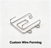 Fil métallique sur mesure, couleur, taille et forme personnalisées, fil métallique galvanisé à chaud, clip en fil métallique formé sur mesure, pièces de fixation automobile