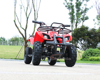 2025 nouvelle Offre Spéciale 800W-1000W électrique 4 roues ATV Smart Quad vélo pour enfants et adultes enfant jouet pour Application extérieure