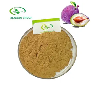 Haccp New product Food Grade Free sample fructus mume extract dark plum extract smoked plum extract