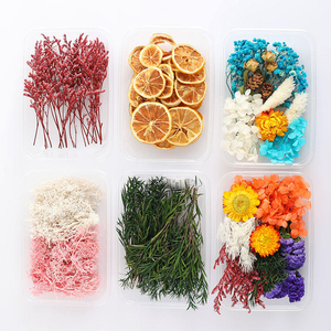 Kit de Matériaux de Fleurs Séchées DIY pour Fête de Remise des Diplômes - Cadres Photo, Bouteilles Flottantes, Maternelle, Salon - Product Image 1