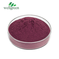 Food Grade Natuurlijke Anthocyanen Zwarte Vlierbessen Fruit Extract Poeder Vlierbessen Fruit Poeder
