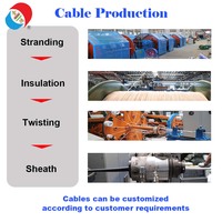 Vente en gros de câble électrique de haute qualité 300/500V à 2 brins en cuivre flexible pour isolation en PVC