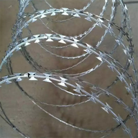 Precio de fábrica Anti-escalada galvanizado tiburón plano concertina navaja valla de alambre