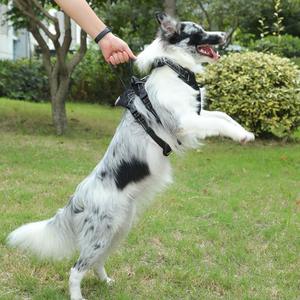 Arnés MOFESIPI para perros grandes, arnés para mascotas a prueba de explosiones con hebilla de metal, correa para perros para entrenar y caminar grandes - Product Image 4