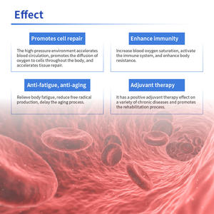 Chambre hyperbare <span class=keywords><strong>portable</strong></span> souple 1.3ATA 1.5ATA 2.0ATA pour oxygénothérapie (HBOT) – Vente en gros, <span class=keywords><strong>location</strong></span> commerciale, revente, usage domestique - Product Image 5