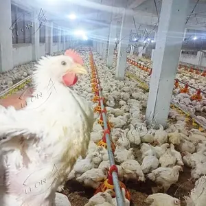 Gürcistan'da satılık düşük fiyat Modern tasarım otomatik hayvan tavuk çiftliği ekipmanları