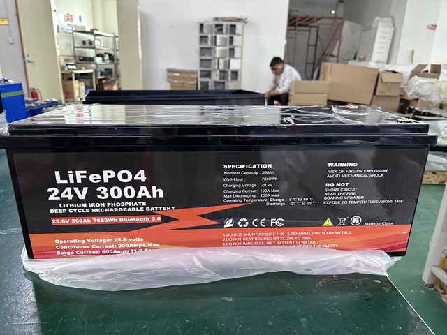 Lithium Battery 24V 100Ah 150Ah 200Ah 230Ah 300Ah LiFePO4 Battery 10-Year Warranty Stackable Design CAN Bus for Telecom