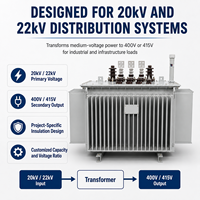 Transformador de Distribución Trifásico Sumergido en Aceite S11-M 20kV 30-2500kVA 50/60Hz