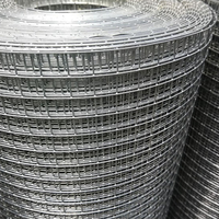 Grillage soudé post-galvanisé 1/2\" 3/4\" 1\" Maille personnalisée Clôture en métal pour la protection de la sécurité