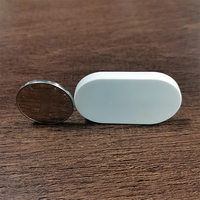 Balise de suivi Bluetooth Wi-Fi programmable avec bouton, balise iBeacon BLE nrf52810, localisateur de clés, capteur iBeacon