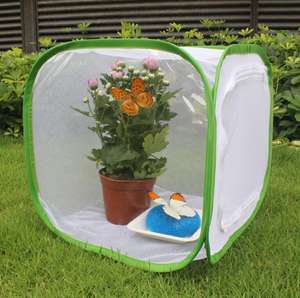 Cage de habitat pour insectes et papillons, terrarium pop-up portable de forme carrée en plastique pour le contrôle des coléoptères, plus facile à nettoyer - Product Image 2