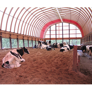 Tente d'Entrepôt Temporaire pour Chantier, Résistante aux Intempéries et à la Poussière pour le Stockage de Matériaux de Construction - Product Image 6