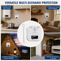 Détecteur de monoxyde de carbone portable HIREP HRP-CO998 avec capteur électrochimique, écran LCD et avertissement sonore et visuel pour la maison, la voiture et le montage mural