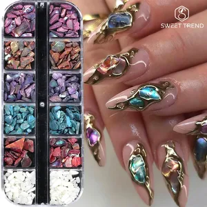 12 Grids Nail Art Aurora <b>Abalone</b> <b>Shell</b> Flakes 3D Charms Irregular Seashell Fragment Aurora Slices DIY Manicure Decor Accessories - Product Image 1