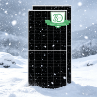 Panel Solar Bifacial HPBC 2.0 de 660W, Módulo Solar de Doble Vidrio de Alta Eficiencia para Uso Residencial y Comercial