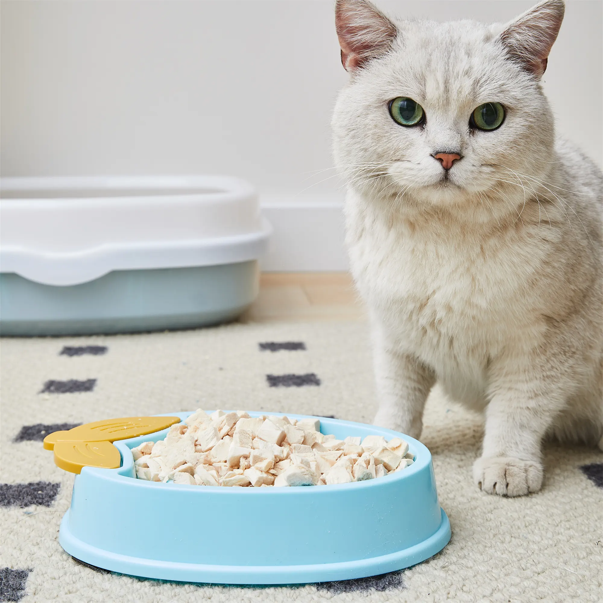 Tigela antiderrapante para animais de estimação, comida lenta para cães, tigela fofa em forma de fruta de alta qualidade e preço barato