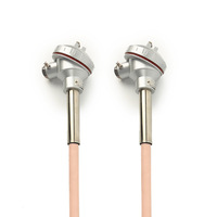 Anti-interférence Ptrh10 %-pt s Type Thermocouple S-type Platine Rhodium Thermocouple Gainé Antidéflagrant avec Prise