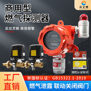 Detector de Gas Combustible Industrial de 24V, Tipo Fijo, para Gas Natural y Gas de Carbón, con Indicador de Luz Roja - Product Image 5