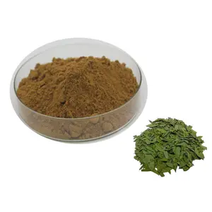 Hot Sale 20:1 Senna Leaf Extract Powder Senna Leaf Extract Senna Powder