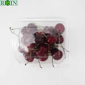 Plastic Fruit Punnet Voedselcontainer Wegwerp Transparante Plastic Clamshell Fruit En Groente Container Verpakking