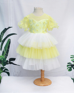 Việt Nam Nhà Sản Xuất Của Odm Lớp Ren Hoa Công Chúa Ăn Mặc Cho Cô Gái Ngắn Trẻ Em Của Thời Trang Ăn Mặc - Product Image 6