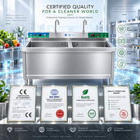 Évier de cuisine professionnel pour restaurant avec lave-légumes et robinet double, station de nettoyage commerciale, OEM disponible