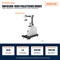 Robot collaboratif en alliage avec PLC et moteur, capacité de charge de 30 kg, pour palettisation de cartons et manutention de matériaux en usine, 4-9 boîtes/min