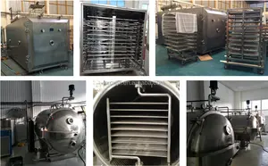 CW Fruit Food Herbal Extract In Industry Vacuum Tray Dryer Vacuum Chamber Drying Oven Machine
