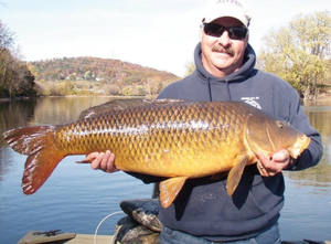 Potenciador de crecimiento de peces para tilapia, acuicultura, aditivos para piensos con probióticos aminoácidos y vitaminas de grado alimenticio - Product Image 2