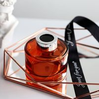 Bouteilles de diffuseur à roseaux en verre vides certifiées ISO de haute qualité pour l'aromathérapie – Vente en gros